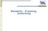 Datalink – Framing, Switching. From Signals to Packets Analog Signal “Digital” Signal Bit Stream 0 0 1 0 1 1 1 0 0 0 1 Packets 0100010101011100101010101011101110000001111010101110101010101101011010111001.