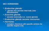 SEX HORMONES  Endocrine glands: glands that secrete internally (into bloodstream) glands that secrete internally (into bloodstream)  Exocrine glands:
