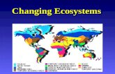 Changing Ecosystems. Ecosystems can change by: natural processes or natural processes or human activity human activity.