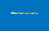 DNA Tautomerization. - Tautomerism is the ability of a molecule to exist in more than one chemical form. - Many tautomers are formed by migration of a.