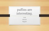 Puffins are interesting. Utah Edward Baggett. Bird name Puffins are interesting because there is a feature about the stocky little birds that I just like.
