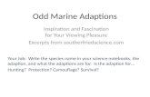 Odd Marine Adaptions Inspiration and Fascination for Your Viewing Pleasure Excerpts from southerfriedscience.com Your Job: Write the species name in your.