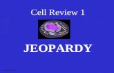 Cell Review 1 JEOPARDY S2C06 Jeopardy Review OrganellesVocabulary Cell Differences Picture ID Misc 100 200 300 400 500.