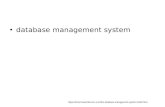Database management system .