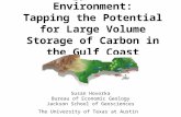 Energy and the Environment: Tapping the Potential for Large Volume Storage of Carbon in the Gulf Coast Susan Hovorka Bureau of Economic Geology Jackson.