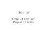 Chap 23 Evolution of Populations Genotype p2p2 AA 2pqAa q2q2 aa Phenotype Dominantp 2 + 2pq Recessiveq2q2 Gene pA qa p + q = 1 p 2 + 2pq + q 2 = 1.