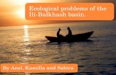 By Anel, Kamilla and Sabira Ecological problems of the Ili-Balkhash basin.