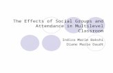 The Effects of Social Groups and Attendance in Multilevel Classroom Indira Marie Bakshi Diane Marie Daudt.