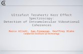 Ultrafast Terahertz Kerr Effect Spectroscopy: Detection of Intramolecular Vibrational Coherences Marco Allodi, Ian Finneran, Geoffrey Blake California.