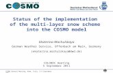 COSMO General Meeting, Rome, Italy, 5-9 September 2011 Status of the implementation of the multi-layer snow scheme into the COSMO model COLOBOC meeting.