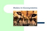 Roles in Ecosystems. Habitat – A habitat is the place an organism lives.