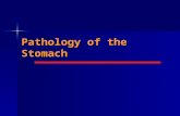Pathology of the Stomach. Objectives and aim To learn the congenital disorders of the stomach To learn the congenital disorders of the stomach To learn.