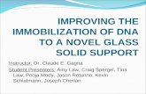IMPROVING THE IMMOBILIZATION OF DNA TO A NOVEL GLASS SOLID SUPPORT Instructor: Dr. Claude E. Gagna Student Presenters: Amy Law, Craig Spergel, Tina Law,