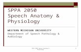 SPPA 2050 Speech Anatomy & Physiology1 WESTERN MICHIGAN UNIVERSITY Department of Speech Pathology & Audiology.