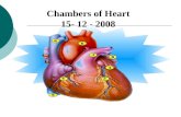 Chambers of Heart 15- 12 - 2008. Heart The heart is a hollow muscular organ Shape of the heart: pyramid shaped with three surfaces and apex. Surfaces.