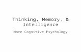 Thinking, Memory, & Intelligence More Cognitive Psychology.