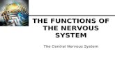 THE FUNCTIONS OF THE NERVOUS SYSTEM The Central Nervous System.