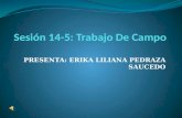 PRESENTA: ERIKA LILIANA PEDRAZA SAUCEDO. ESCUELA PRIMERIA NIÑOS HÉROES T.M. VILLA DE ÁLVAREZ, COLIMA. DISEÑA EL CAMBIO.