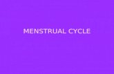 Menstrual Cycle fuck u