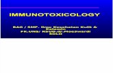 Immunotoxicology 2007dll-2