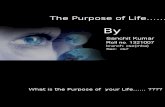 Purpose of Life by Sanchit