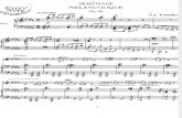 Tchaikovsky - Piano & Violino - Serenade Melancolique
