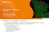 Dtrace Topics Java