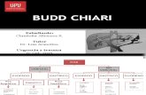 Budd Chiari (2)