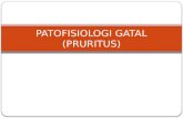 Patofisiologi Gatal Pruritus