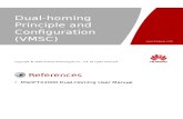 9 OWG500210 Dual-homing Principle and Configuration(VMSC) ISSUE1.0