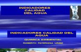 Ica Quimica Ambiental