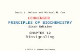 Lehninger LCA Ch12