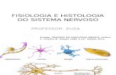 Fisiologia e Histologia – Sistema Nervoso