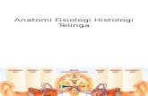Anatomi Fisiologi Histologi Telinga