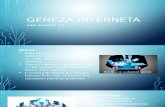Geneza Interneta - Copy