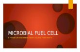 Microbial Fuel Cell Prototype