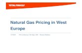 Natural gas pricing in west europe