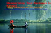 Amazing Places in Kerala Tour Packages