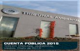 Cuenta Pública 2015 del Tercer Tribunal Ambiental de Chile