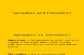Chapter 3 - Sensation and Perception - Incomplete