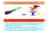 1.Consumer Theory