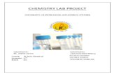 Chemistry Lab Project