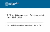 Pflichtübung aus Europarecht 14. Mai2014 Dr. Marie-Therese Richter, BA LL.M.