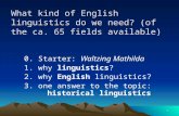 1 What kind of English linguistics do we need? (of the ca. 65 fields available) 0. Starter: Waltzing Mathilda 1. why linguistics? 2. why English linguistics?