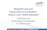 Regulierung von Massenkommunikation - Status und Reformbedarf - 1. Workshop der Bund-Länder-Arbeitsgruppe 25. Februar 2013.