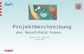 Projektbeschreibung der Berufsfeld Foren Heike Pfaff-Cimiotti Stand 2012
