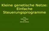 Kleine genetische Netze: Einfache Steuerungsprogramme Von Sabine Pilari und Marvin Schulz.