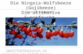 © Wohlf ü hlbereich.at Richard Prinz, Tel: +43(0)660 562 64 21 Die Ningxia-Wolfsbeere (Gojibeere) Die ultimative Superfrucht (Lycium barbarum)
