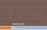 WADUD Esma ul Husna. Fachspezifische Definition  Er liebt sehr  und wird sehr geliebt  derjenige der seinen Geschöpfen die Fähigkeit gegeben hat zu.