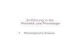 Einführung in die Phonetik und Phonologie   Phonologische Analyse.